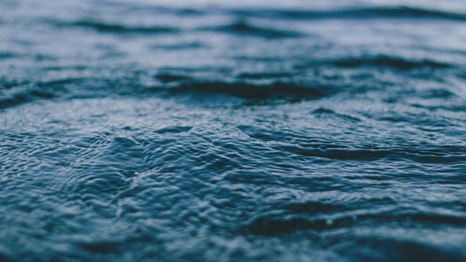A Water Budget for University Landscaping